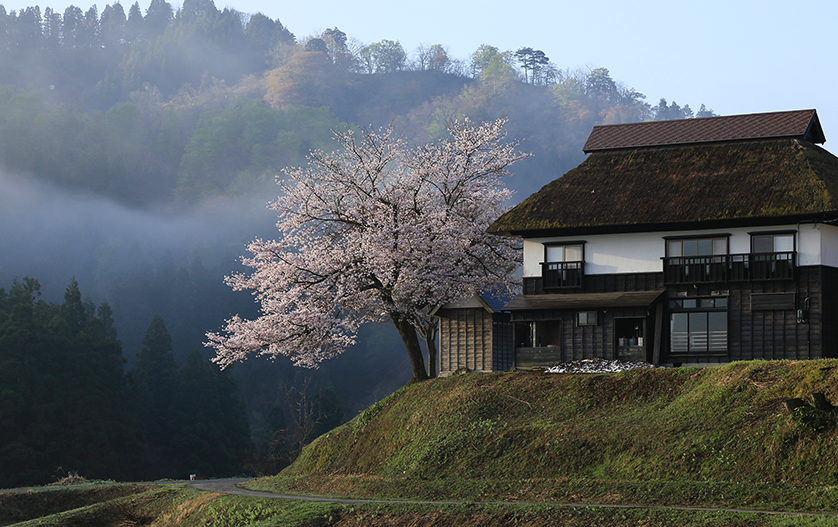門出地域の様子1