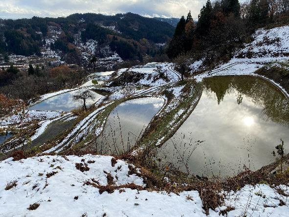 初雪の積もった棚田