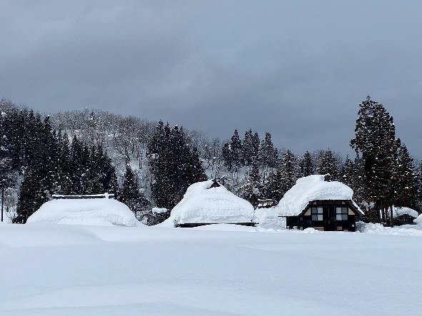 深い雪に覆われたかやぶきの家々